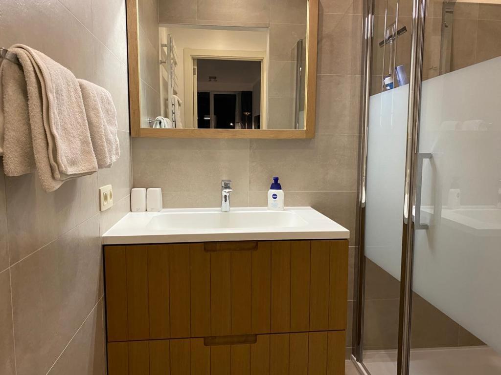 Spacious Studio Knokke-Heist Εξωτερικό φωτογραφία
